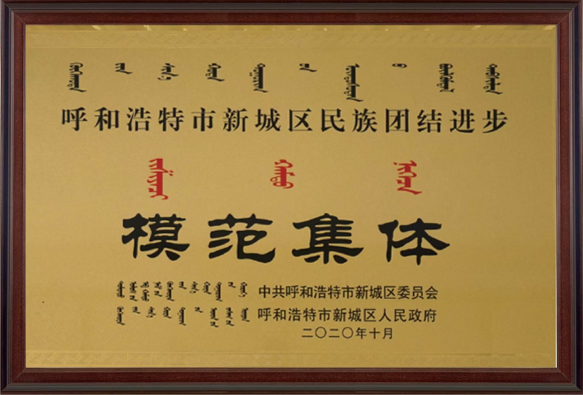 C89EEFA76C06ACF99C24D1611C4_AA8F4513_3FAD8 C89EEFA76C06ACF99C24D1611C4_AA8F4513_3FAD8