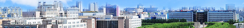 banner6
